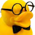 Floristik24 Dekoracyjna figura kaczka w żółtych okularach, zabawna letnia dekoracja, ozdobna kaczka flokowana