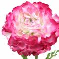 Floristik24 Ranunculus różowy sztuczny 48cm