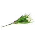 Floristik24 Ranunculus z trawą krem L 35cm