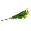 Floristik24 Bukiet Ranunculus z trawą 35cm Żółty