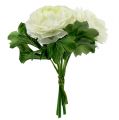 Floristik24 Bukiet Ranunculus Biały L18cm