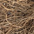 Pierścień z winorośli w kształcie wieńca 25 cm do majsterkowania i dekoracji | Floristik24.pl