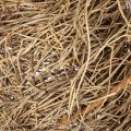 Wieniec z naturalnego materiału, naturalny wianek dekoracyjny do projektów DIY, 35 cm | Floristik24.pl