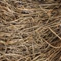 Wieniec winorośli, nieobrobiony, okrągły, naturalny wianek do rękodzieła, 45 cm | Floristik24.pl