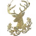 Floristik24 Renifer do powieszenia, dekoracja świąteczna, głowa jelenia, zawieszka metalowa złoty postarzany W23cm 2szt