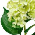 Floristik24 Sztuczny kłos hortensji, hortensja zielona, wysokiej jakości jedwabny kwiat 98cm