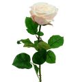 Floristik24 Róża sztuczna kremowa 69cm