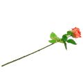 Floristik24 Róża sztuczny kwiat łosoś 67,5cm
