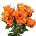 Floristik24 Róża pomarańczowa 42cm 12szt