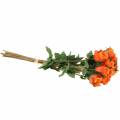 Floristik24 Róża pomarańczowa 42cm 12szt