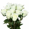 Floristik24 Róża biała 42cm 12szt
