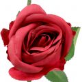 Floristik24 Rose Red 44cm 6szt