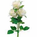 Floristik24 Biała róża na łodydze Jedwabny kwiat Sztuczna róża 3szt