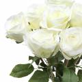 Floristik24 Dekoracyjne kwiaty róży jedwabne w pęczku kremowym 36cm 8szt