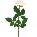 Floristik24 Kremowo-biała róża morelowa, kwiat jedwabiu, sztuczne róże dł.72cm Ø12cm