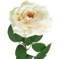 Floristik24 Kremowo-biała róża morelowa, kwiat jedwabiu, sztuczne róże dł.72cm Ø12cm