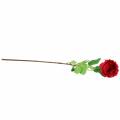 Floristik24 Róża Sztuczny Kwiat Czerwony 72cm