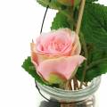 Floristik24 Róża w szkle różowa H23cm