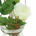 Floristik24 Róża w szkle biała H23cm