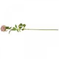 Floristik24 Deco rose pink, dekoracja kwiatowa, sztuczna róża dł.74cm Ø7cm