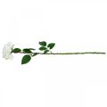 Floristik24 Biała róża Sztuczna róża na łodydze Jedwabny kwiat Sztuczna róża L72cm Ø13cm