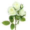 Floristik24 Róża Biała 40cm