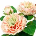 Floristik24 Dekoracyjna róża w doniczce, romantyczne jedwabne kwiaty, różowa piwonia
