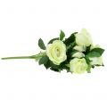 Floristik24 Bukiet róż w kremie 48cm