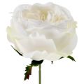 Floristik24 Kwiat róży biały 17cm 4szt