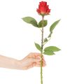 Róża gałązka jedwabny kwiat sztuczna róża czerwona 72cm 3szt | Floristik24.pl