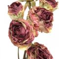Floristik24 Sztuczna róża, dekoracja stołu, sztuczny kwiat różowy, gałązka róży antyczny wygląd L53cm