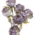Floristik24 Róża Gałąź Jedwabny Kwiat Dekoracja Stołu Art Rose Fioletowy Antyczny L53cm