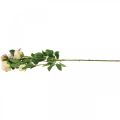 Floristik24 Gałązka róży, jedwabne róże, sztuczna gałązka różowy, kremowy dł.66cm Ø3/5cm