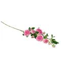 Floristik24 Gałązki róży jedwabne róże Sztuczne gałązki róż różowe kremowe 79cm