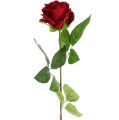 Floristik24 Velvet Rose Red 65cm 6szt
