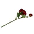 Floristik24 Aksamitna róża czerwona z pąkiem Ø9cm L38cm