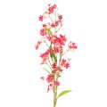 Floristik24 Sztuczna gałązka kwitnąca storczyk Oncidium dekoracja 112cm 3szt