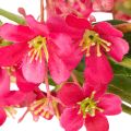 Sztuczna gałązka kwitnąca storczyk Oncidium dekoracja 112cm 3szt | Floristik24.pl