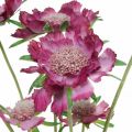 Floristik24 Świerzb sztuczny kwiat różowy letni kwiat H64cm pęczek 3 sztuk