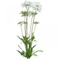 Floristik24 Świerzbowy sztuczny kwiat biały kwiat ogrodowy H64cm wiązka z 3 szt.