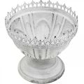 Floristik24 Dekoracyjne trofeum, metalowa miska dekoracyjna w kolorze białym z koroną, wys. 15 cm