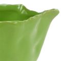 Floristik24 Miska ceramiczna w kolorze zielonym Ø13cm H6cm