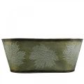 Floristik24 Autumn Planter Bowl, Metal Deco z liśćmi Decor Green L38cm H15cm