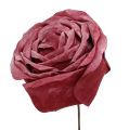 Floristik24 Róża piankowa mix Ø10cm 6szt