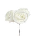 Floristik24 Róże piankowe białe z masą perłową Ø6cm 24szt