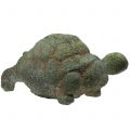 Floristik24 Figura ogrodowa żółw omszony 30cm x 18cm H15cm