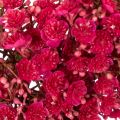 Wianek ze sztucznych kwiatów, dekoracja z gipsówki, 30cm | Floristik24.pl