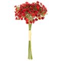 Sztuczna gipsówka, czerwona, bukiet jako dekoracja kwiatowa, 30cm, 10 szt. | Floristik24.pl