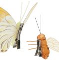 Floristik24 Motyl, pszczoła deco na klipsie 4cm - 8cm 9szt