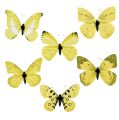 Floristik24 Motyl żółty na klipsie 11cm 6szt
